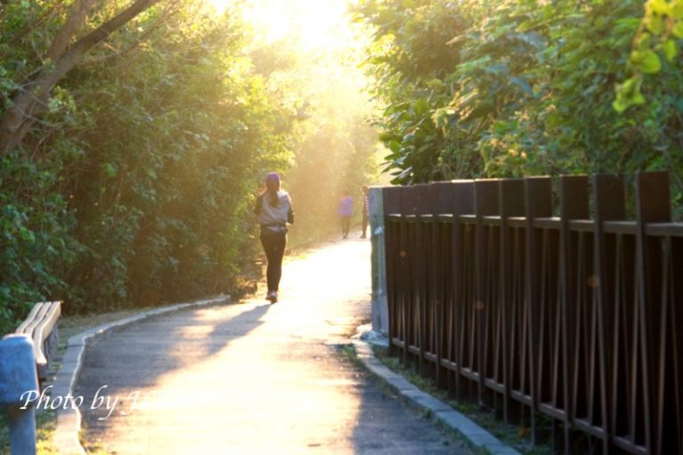 漫步夕陽下～台南午後散步好選擇，安平自行車道！