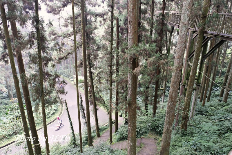Xitou Trail