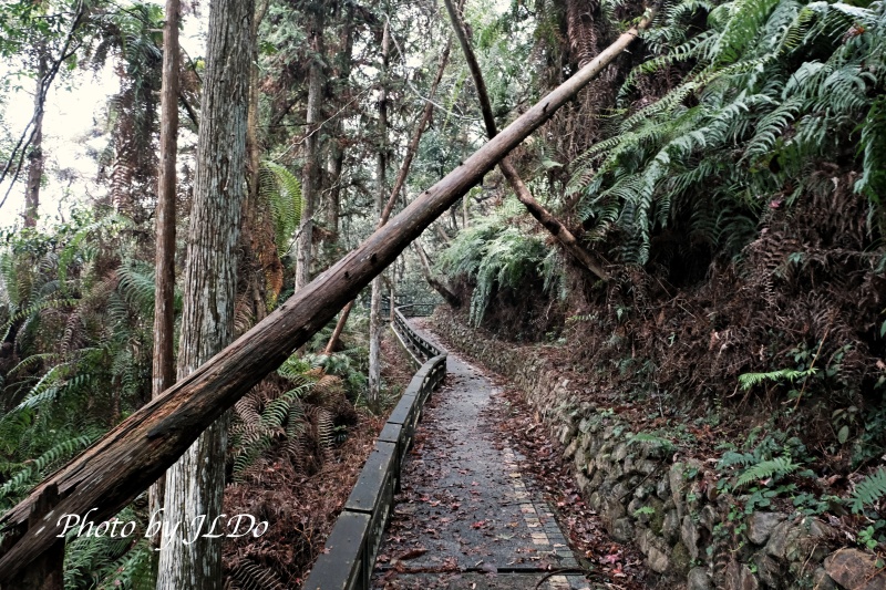 Songbolun Trail