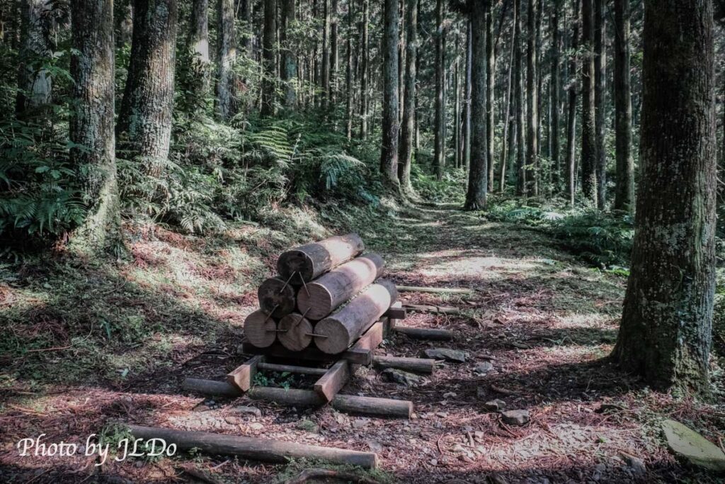 森林知性步道