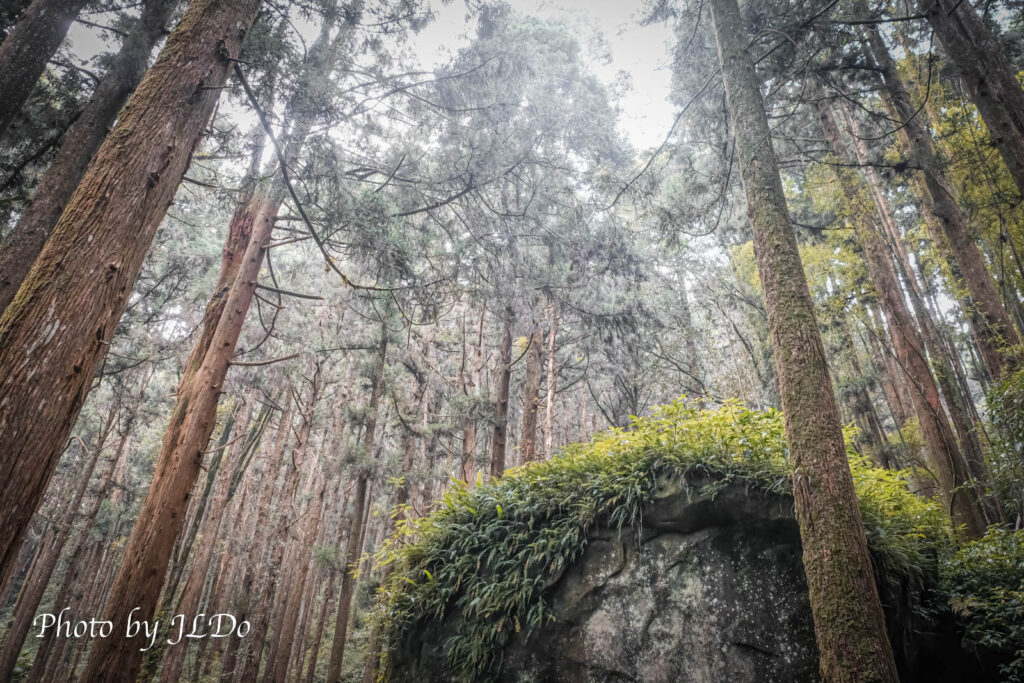 Fenqihu Dafeng Mountain Trail