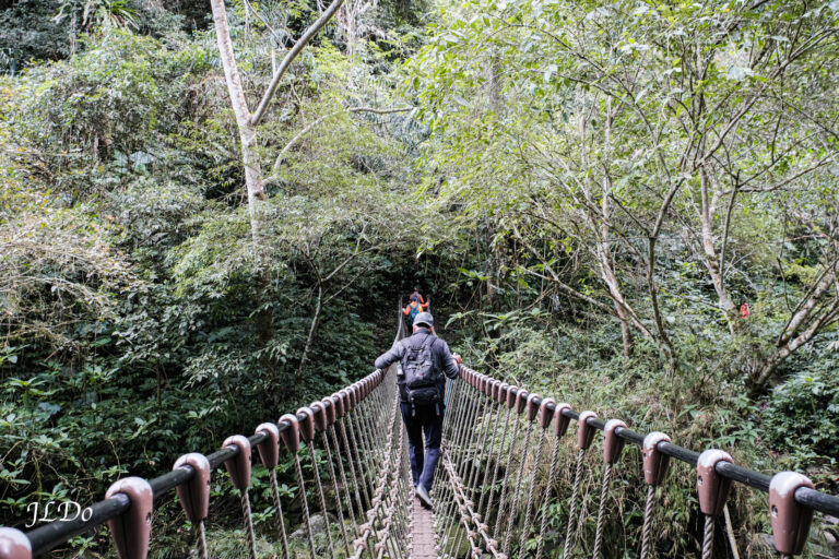 Hsinchu 馬胎古道Trail，super narrow suspension bridge and virgin forest.